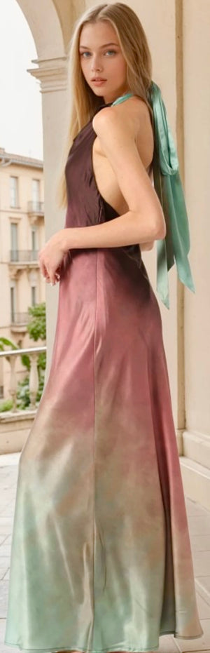Cheyenne Dress