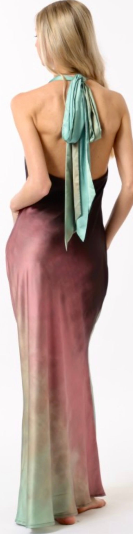 Cheyenne Dress